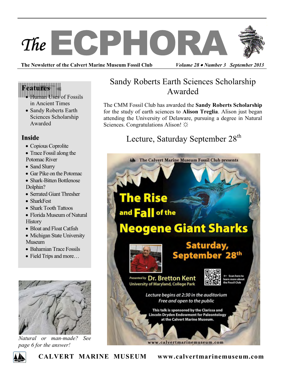 The ECPHORA the Newsletter of the Calvert Marine Museum Fossil Club Volume 28  Number 3 September 2013