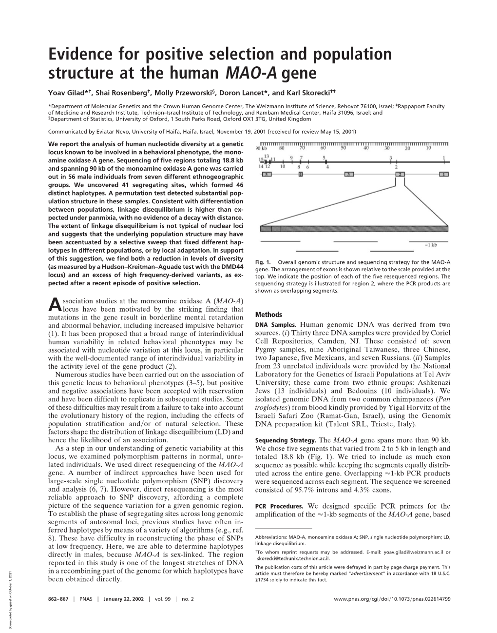 Evidence for Positive Selection and Population Structure at the Human MAO-A Gene