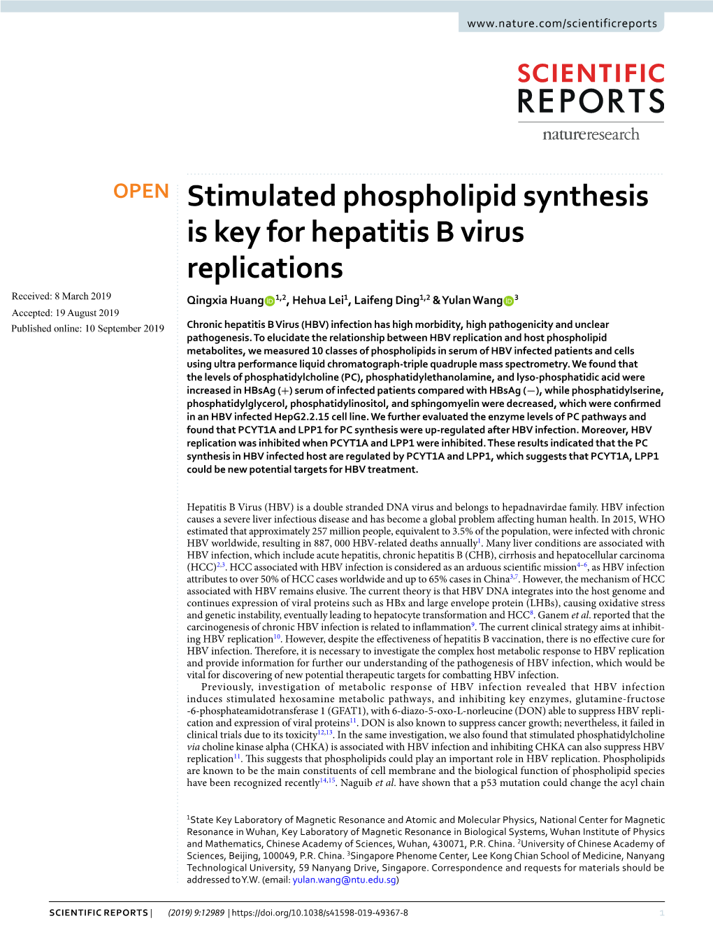 Stimulated Phospholipid Synthesis Is Key for Hepatitis B Virus Replications