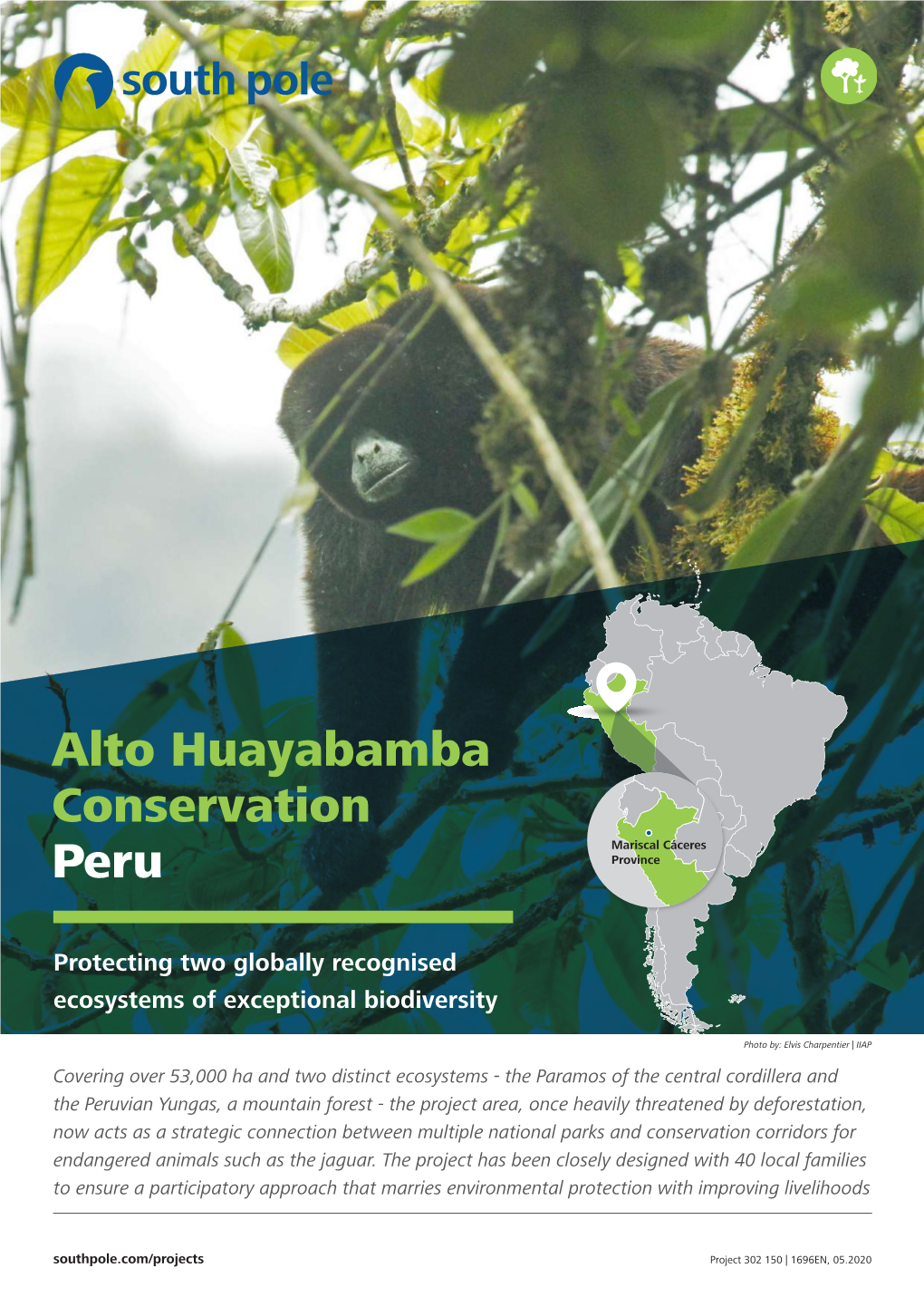 Alto Huayabamba Conservation Peru