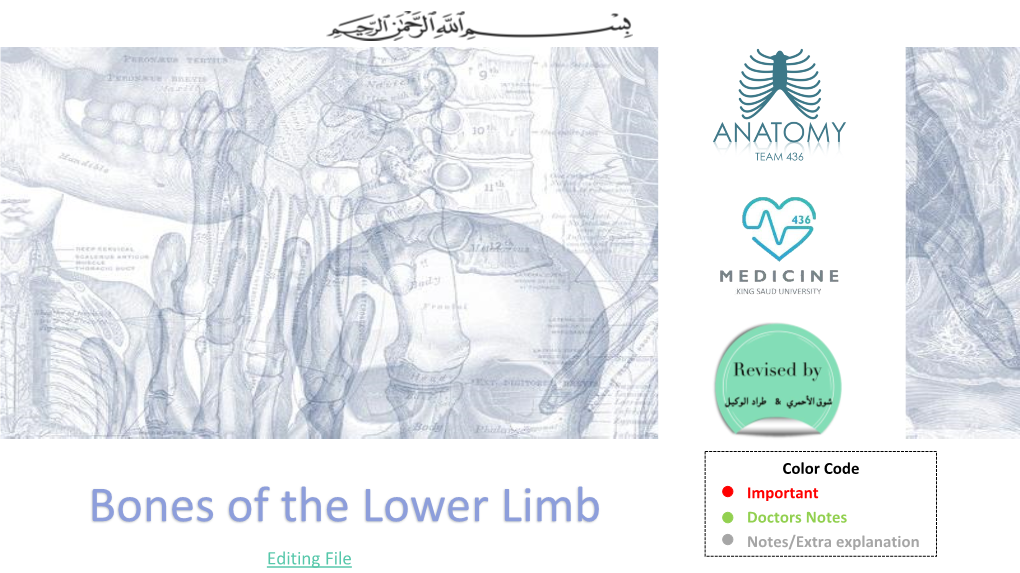 Bones of the Lower Limb Doctors Notes Notes/Extra Explanation Editing File Objectives