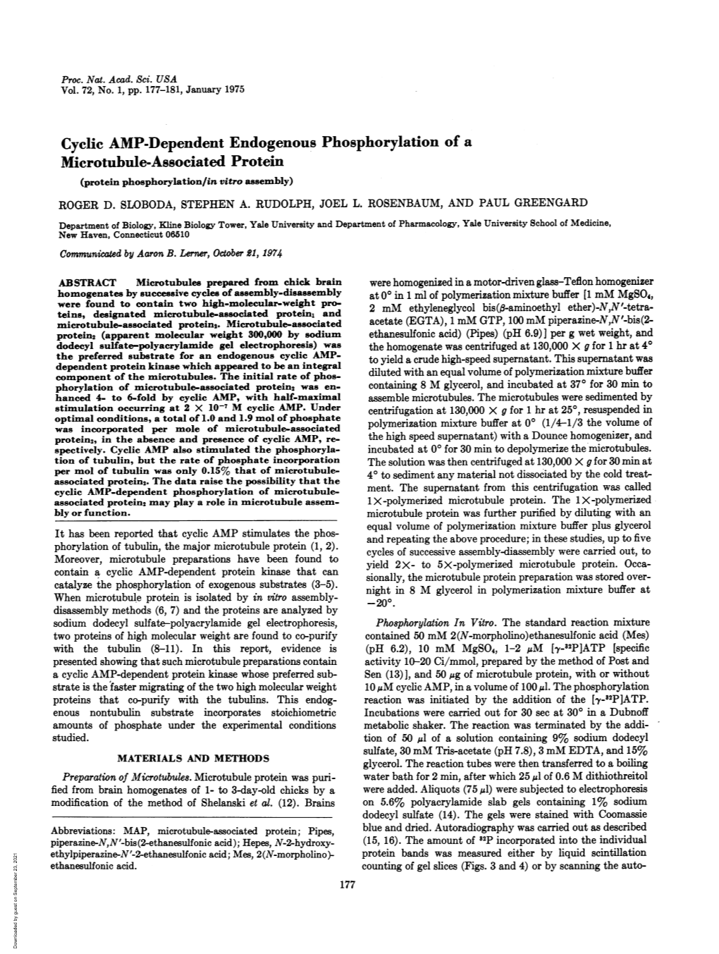 Cyclic AMP-Dependent Endogenous Phosphorylation of a Microtubule-Associated Protein (Protein Phosphorylation/In Vitro Assembly) ROGER D