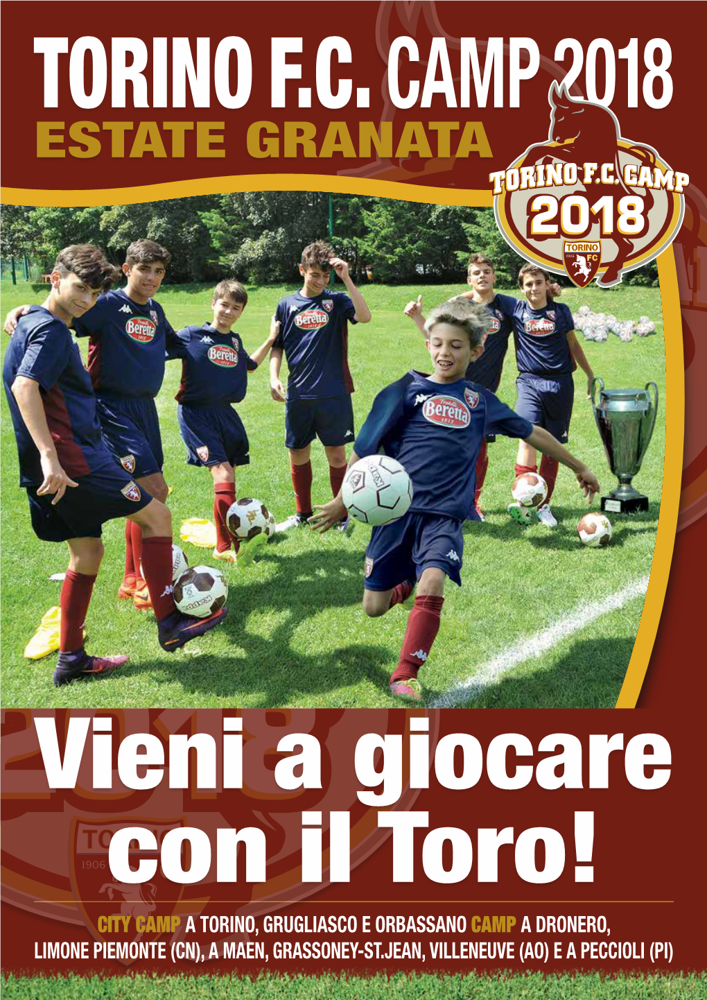 Scarica Il Volantino Dei Toro Camp 2018