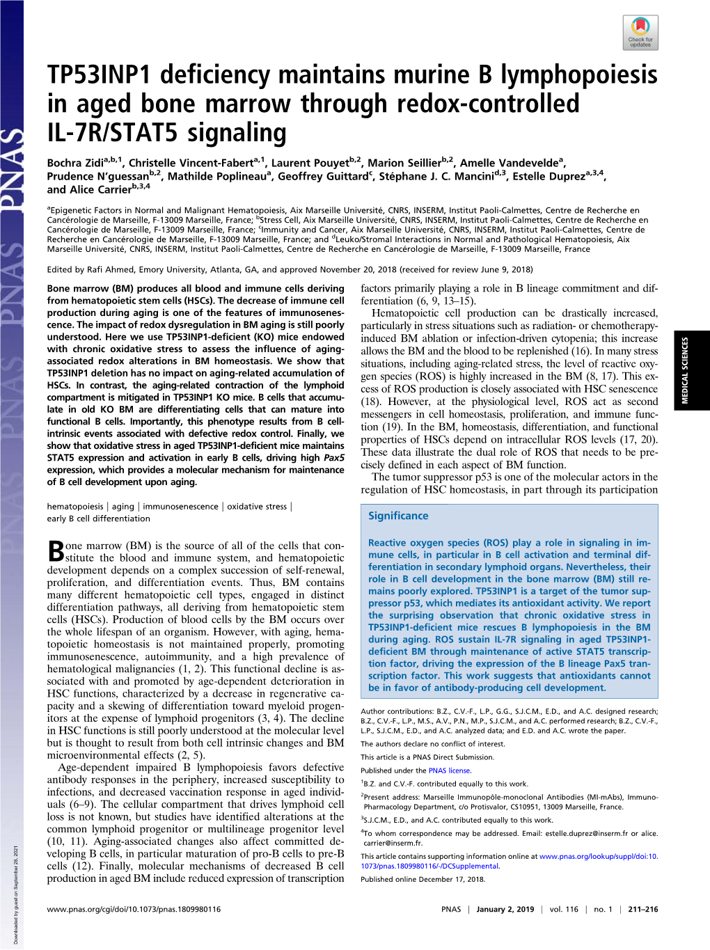 TP53INP1 Deficiency Maintains Murine B Lymphopoiesis in Aged Bone Marrow Through Redox-Controlled IL-7R/STAT5 Signaling