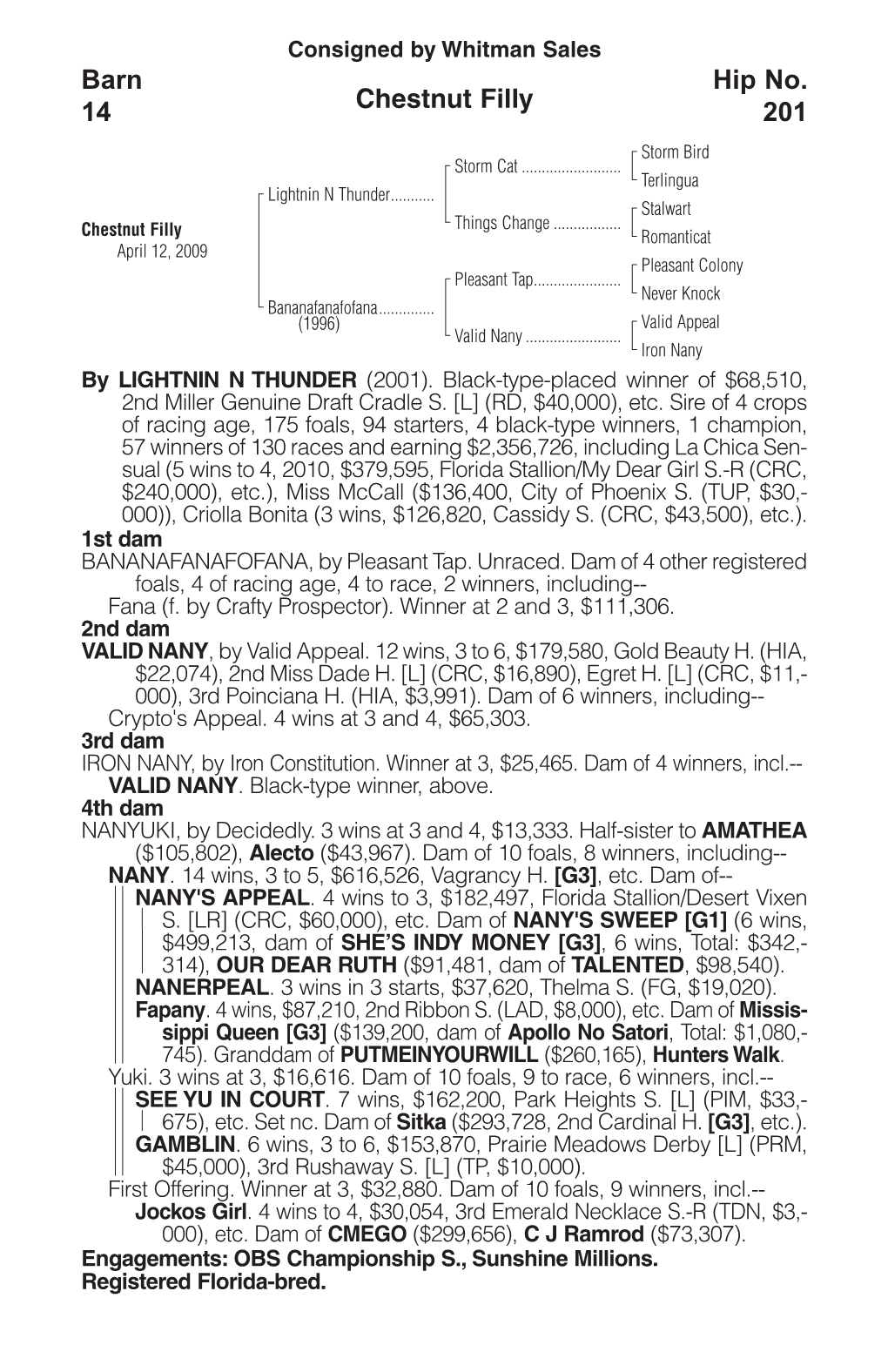 Chestnut Filly Barn 14 Hip No