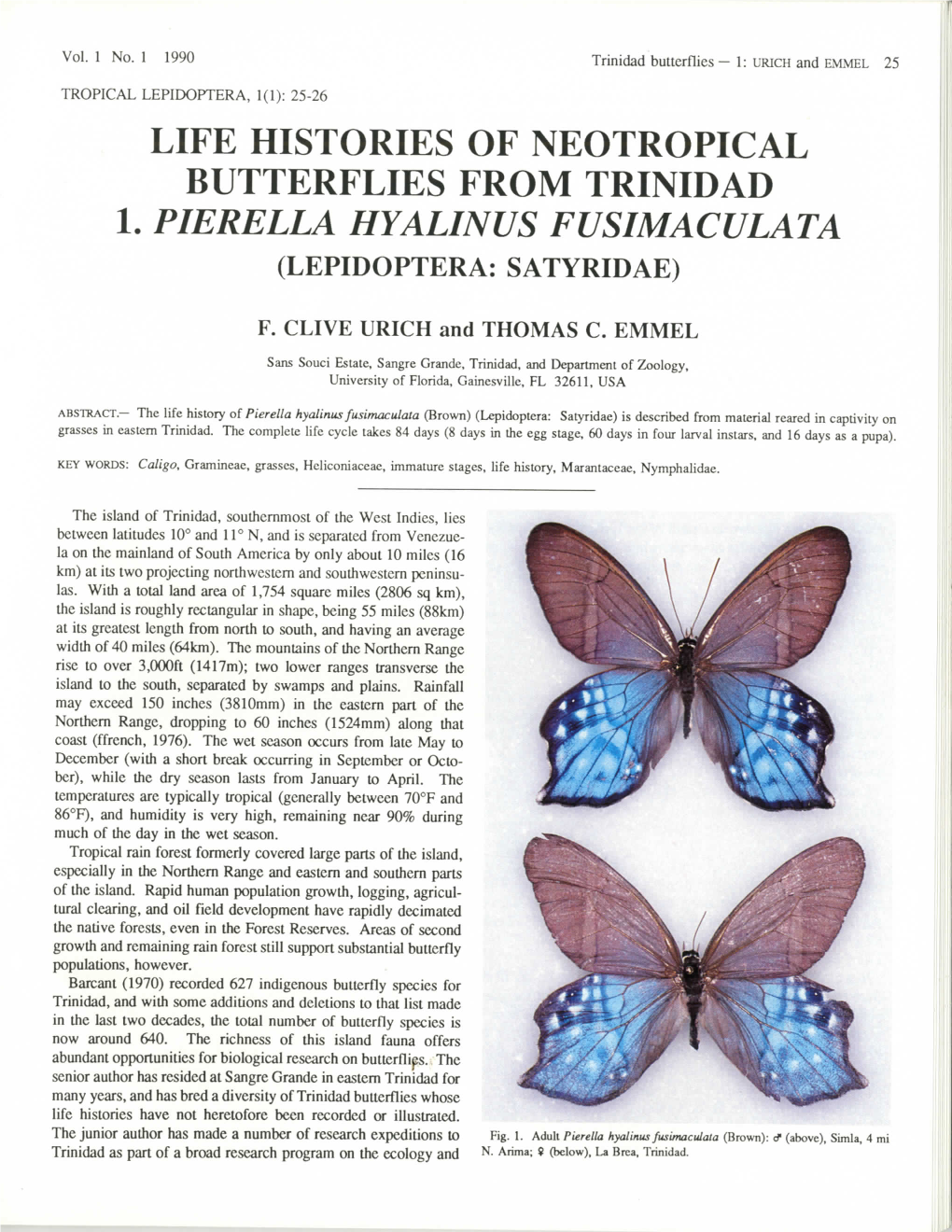 Life Histories of Neotropical Butterflies from Trinidad 1