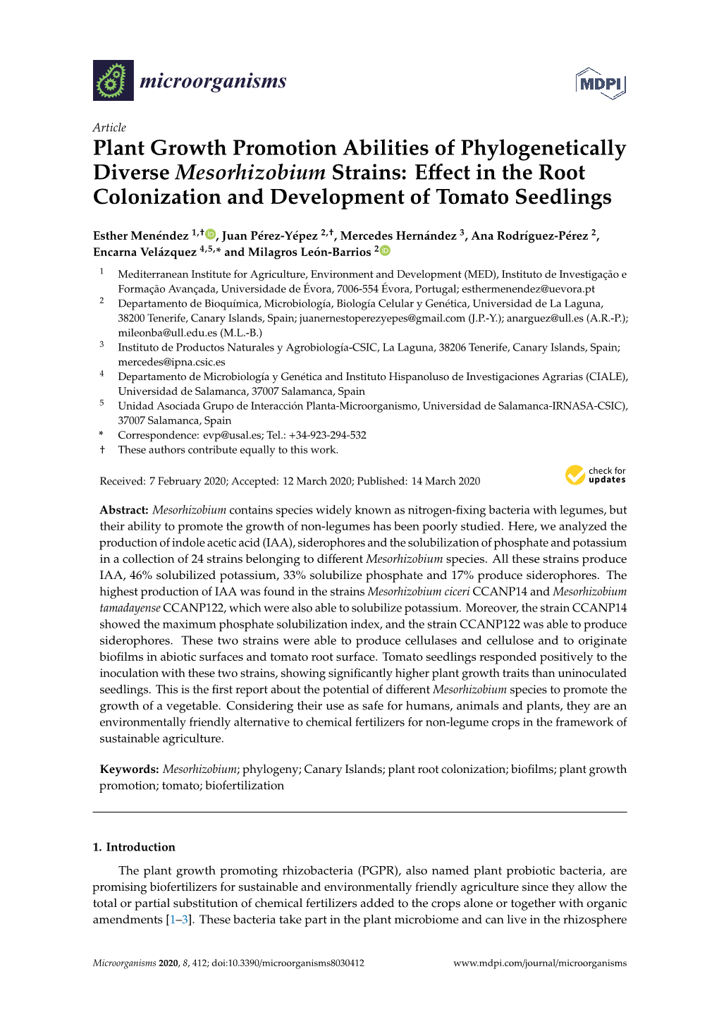 Plant Growth Promotion Abilities of Phylogenetically Diverse Mesorhizobium Strains: Eﬀect in the Root Colonization and Development of Tomato Seedlings