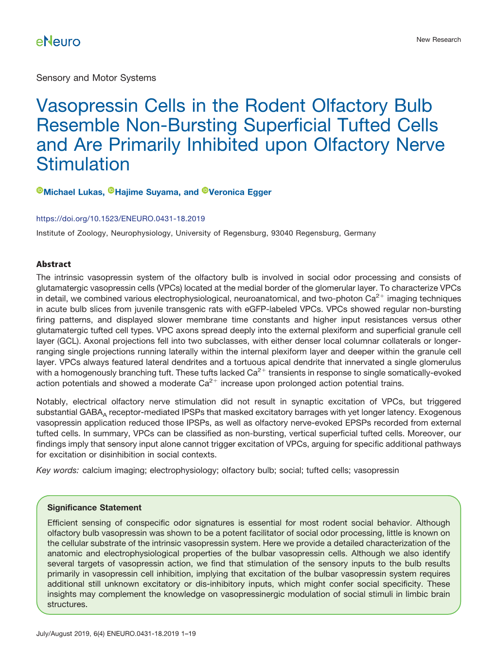 Vasopressin Cells in the Rodent Olfactory Bulb Resemble Non-Bursting Superficial Tufted Cells and Are Primarily Inhibited Upon Olfactory Nerve Stimulation