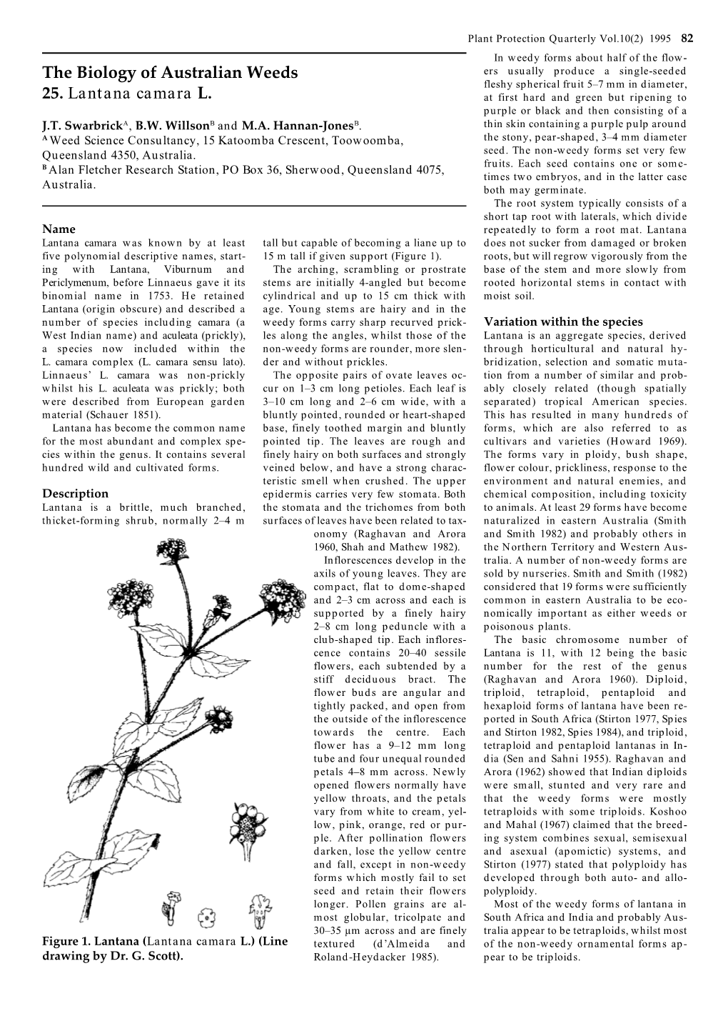 The Biology of Australian Weeds 25. Lantana Camara L