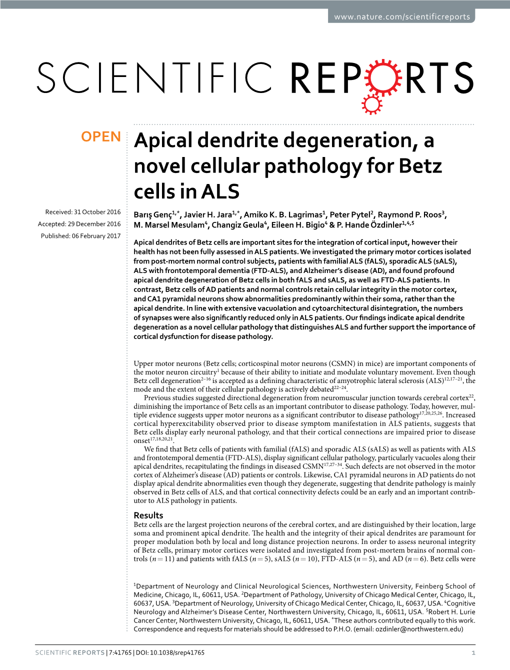 Apical Dendrite Degeneration, a Novel Cellular Pathology for Betz Cells in ALS Received: 31 October 2016 Barış Genç1,*, Javier H