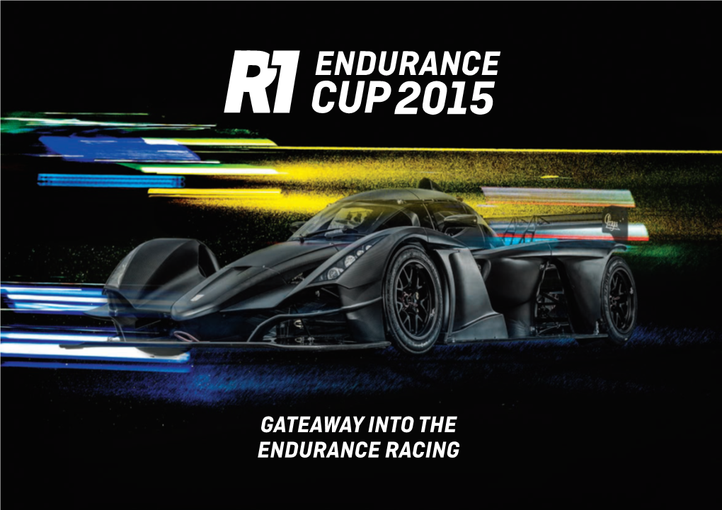 Gateaway Into the Endurance Racing