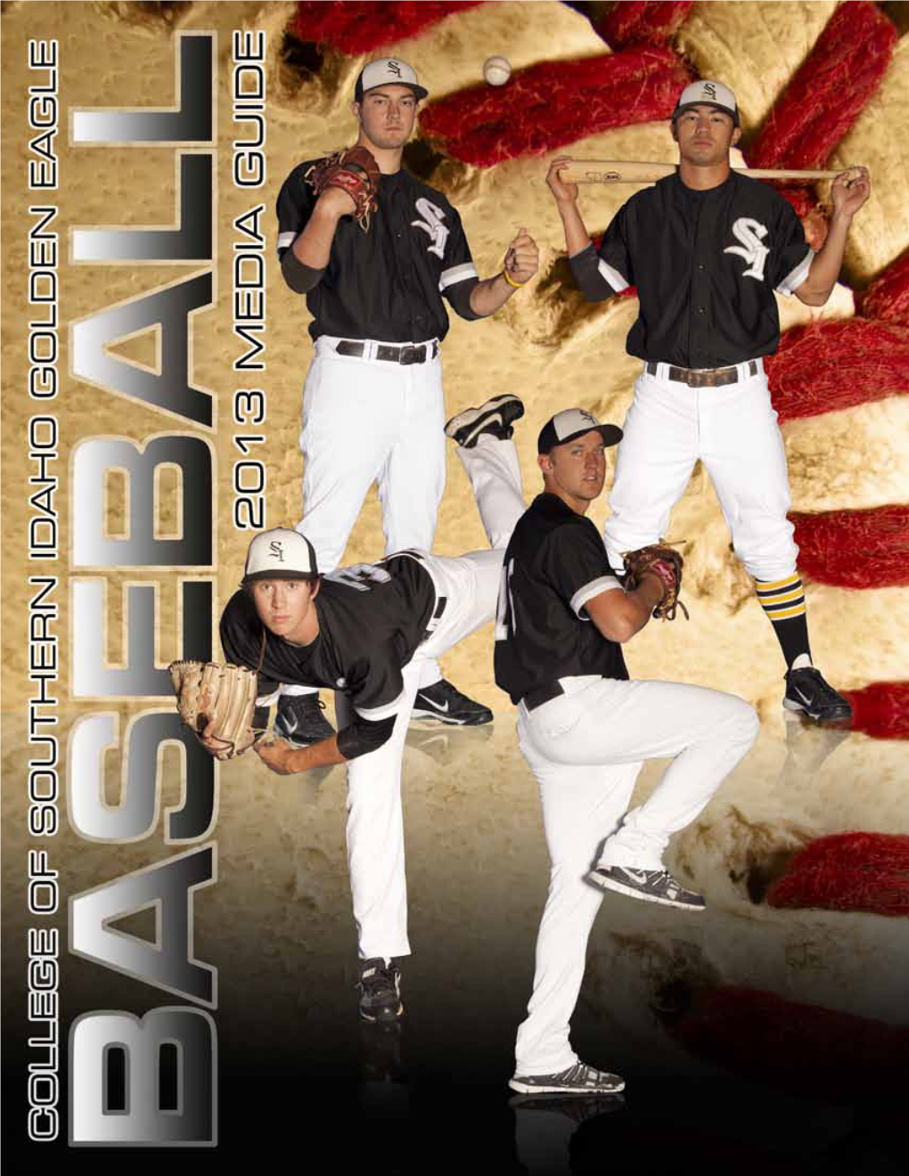 2013 Baseball Media Guide