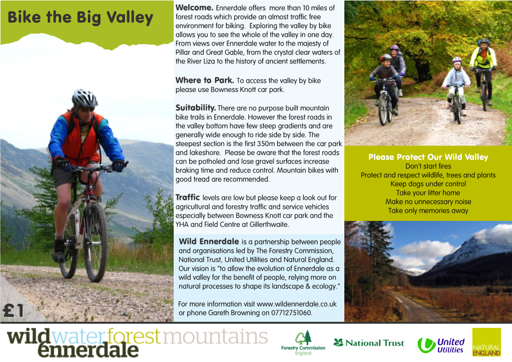 Bike the Big Valley Forest Roads Which Provide an Almost Traffic Free Environment for Biking