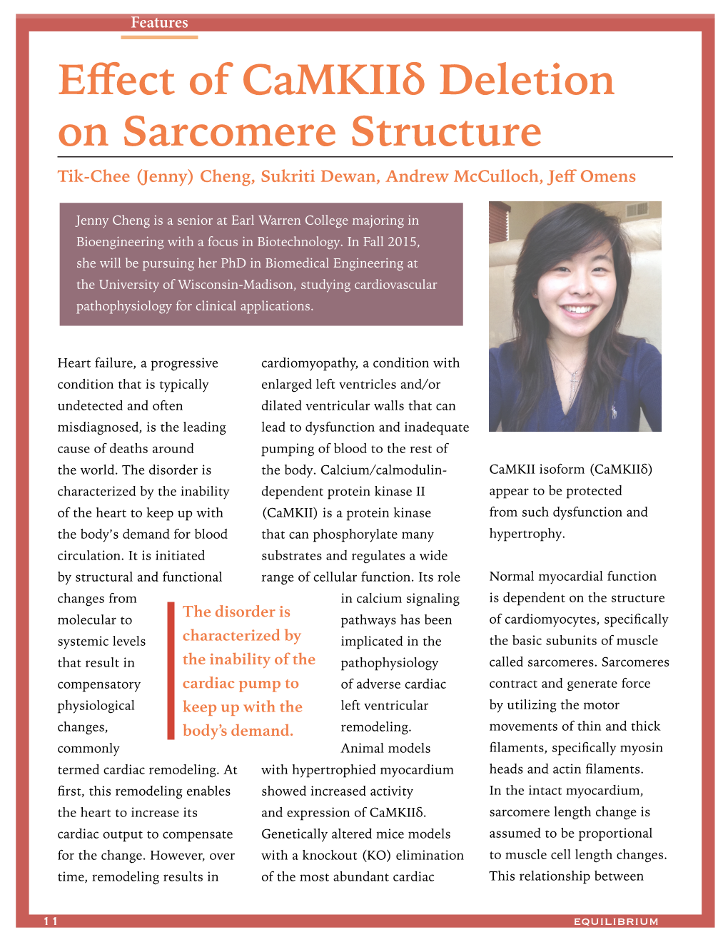 Effect of Camkiiδ Deletion on Sarcomere Structure