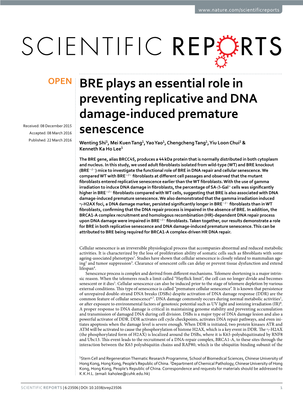 BRE Plays an Essential Role in Preventing Replicative and DNA