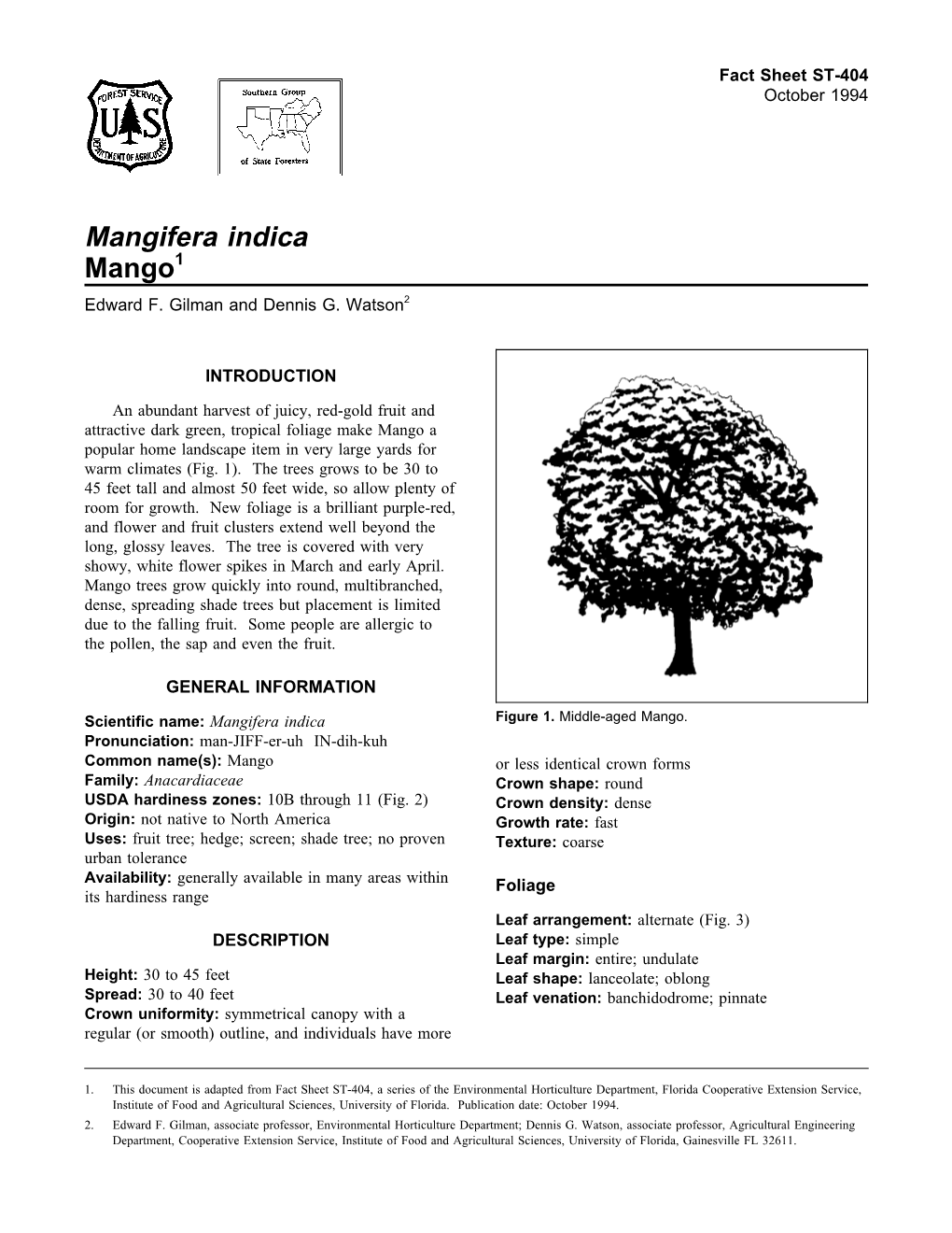 Mangifera Indica Mango1 Edward F