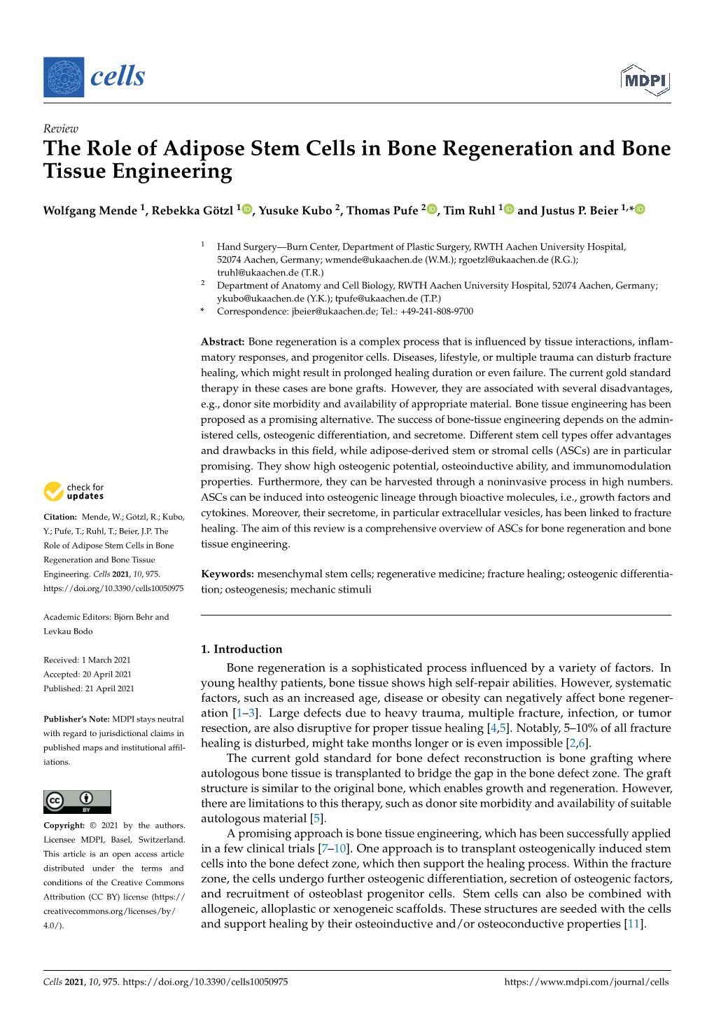 The Role of Adipose Stem Cells in Bone Regeneration and Bone Tissue Engineering