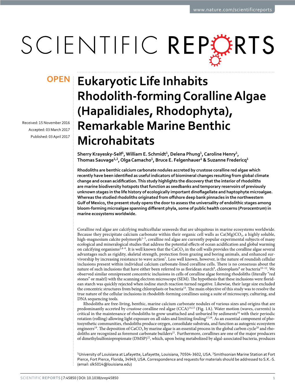 Eukaryotic Life Inhabits Rhodolith