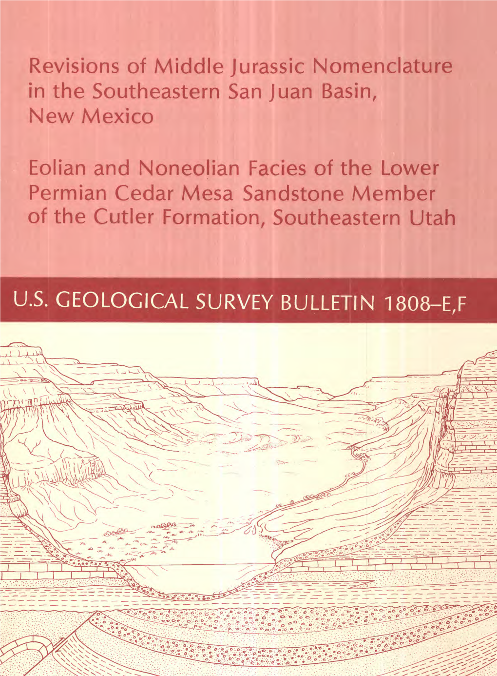 Revisions of Middle Jurassic Nomenclature in the Southeastern San Juan Basin, New Mexico