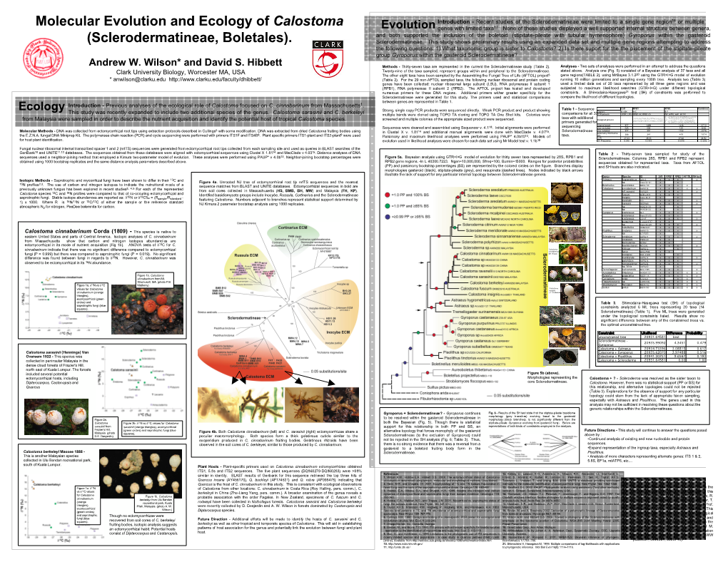 Molecular Evolution and Ecology of Calostoma (Sclerodermatineae