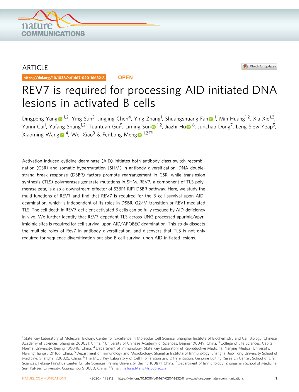 REV7 Is Required for Processing AID Initiated DNA Lesions in Activated B Cells