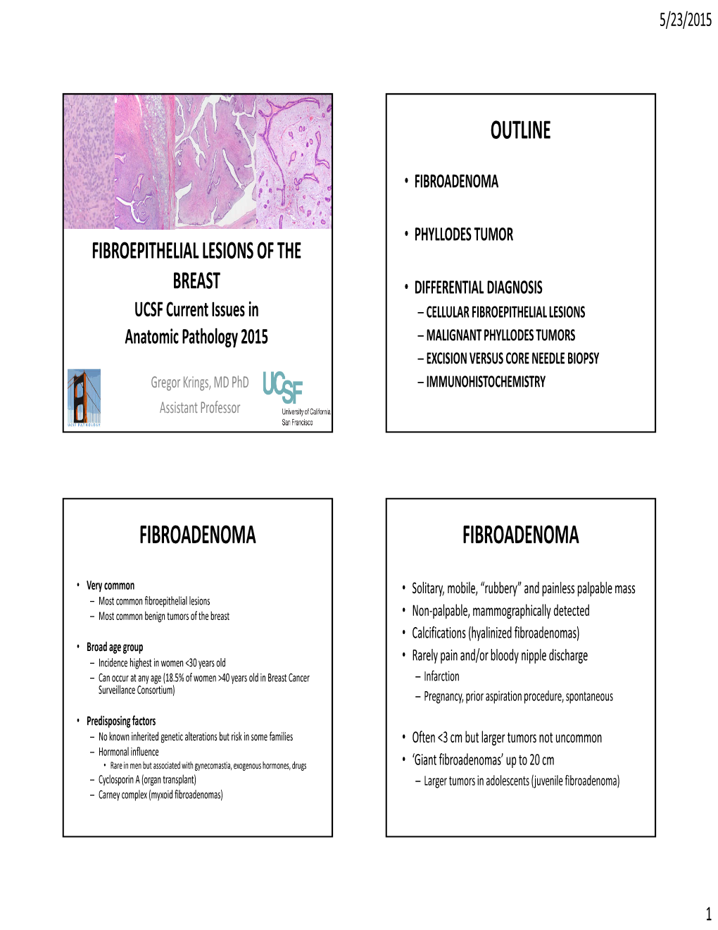 Fibroepithelial Lesions of the Breast