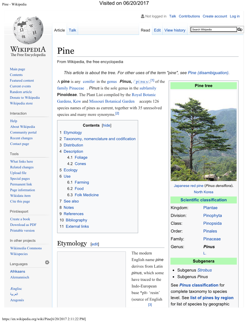 Pine - Wikipedia Visited on 06/20/2017