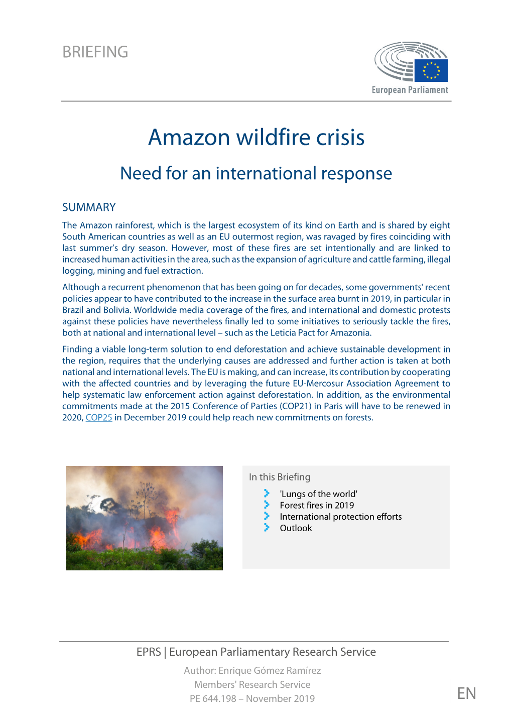 Amazon Wildfire Crisis: Need for an International Response