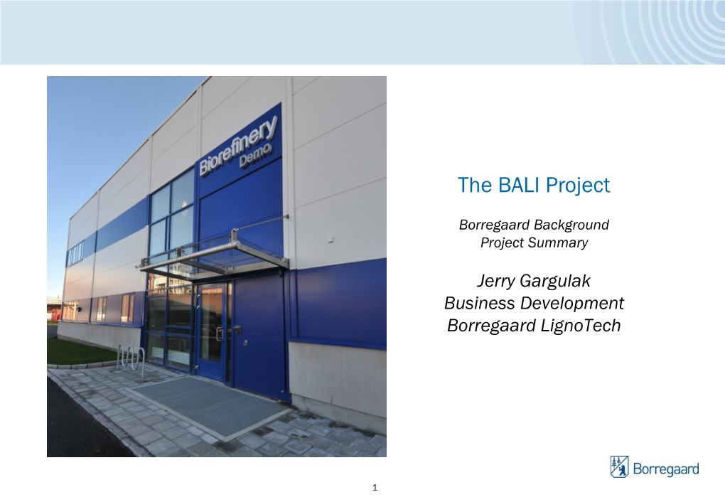 The BALI Project
