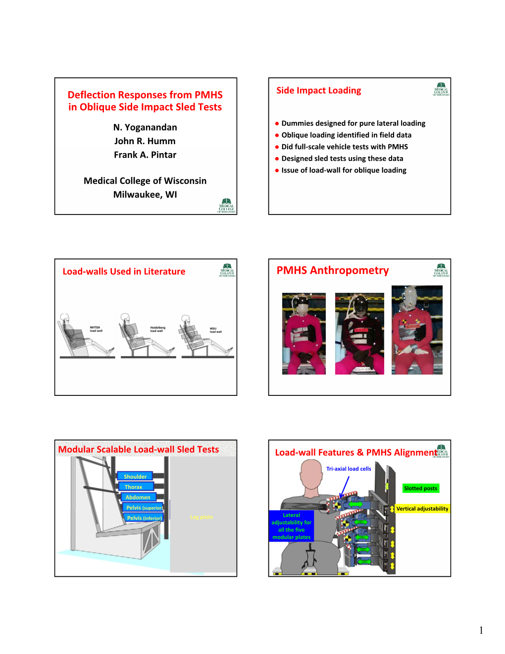 PMHS Anthropometry