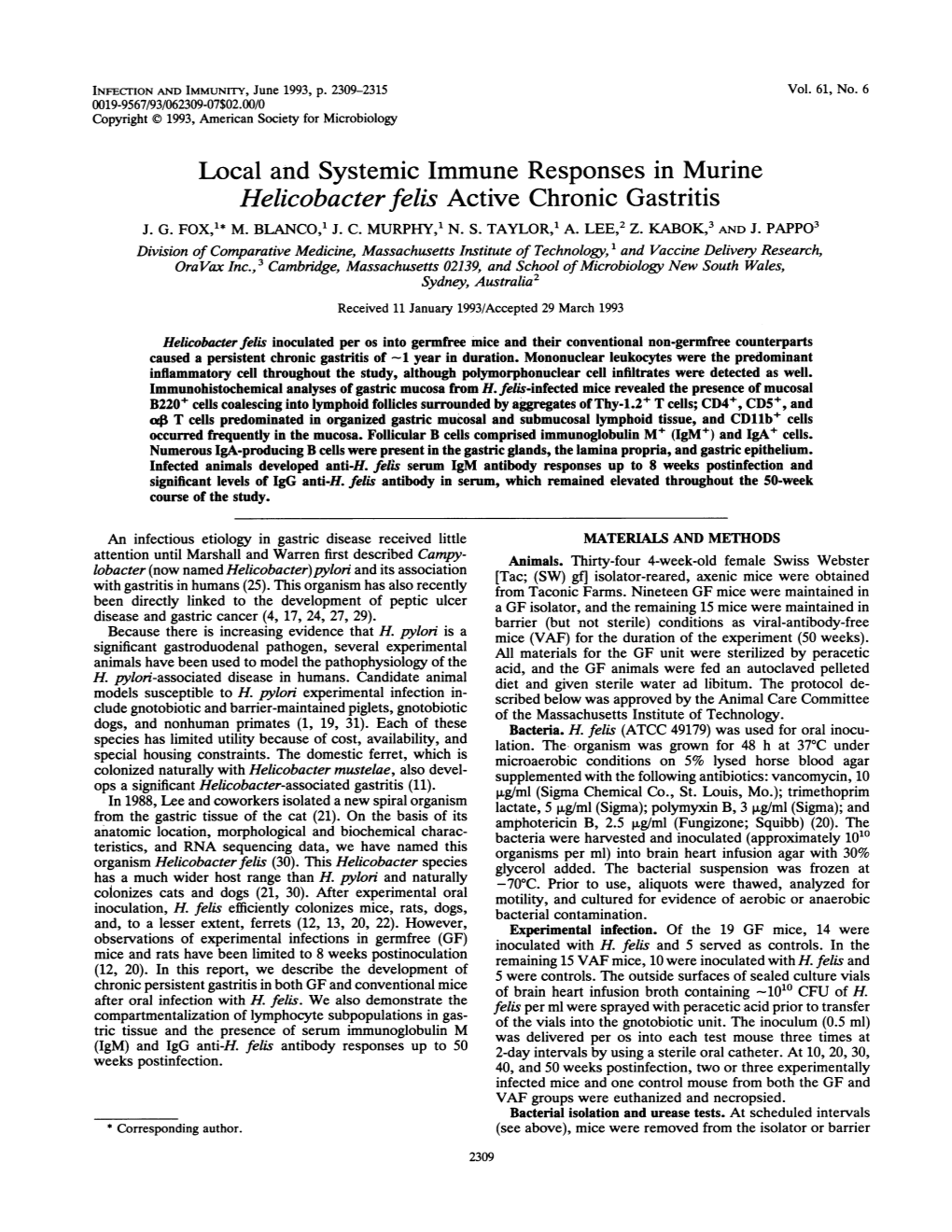 Local and Systemic Immune Responses in Murine Helicobacterfelis Active Chronic Gastritis J