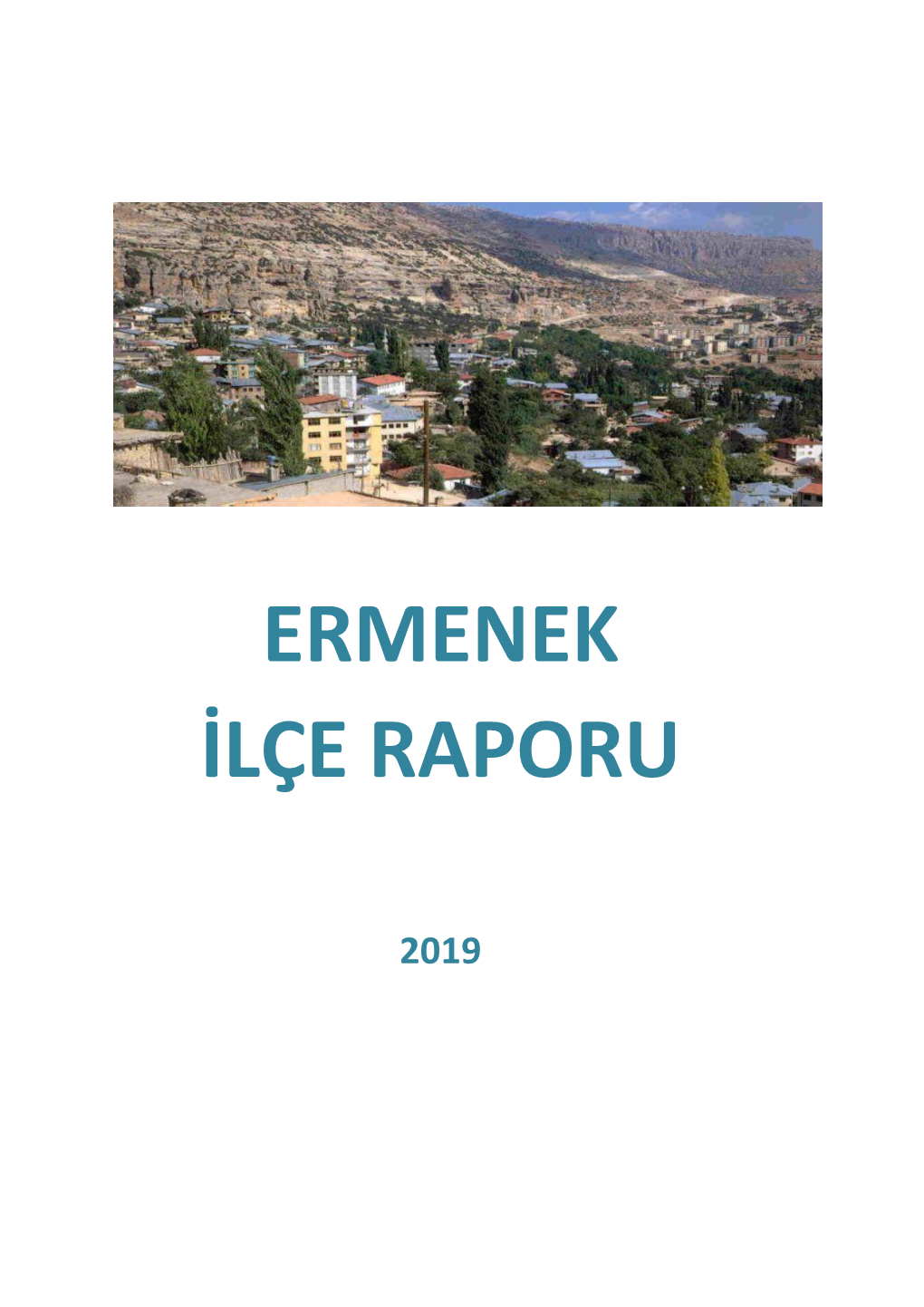 Ermenek İlçe Raporu 2019