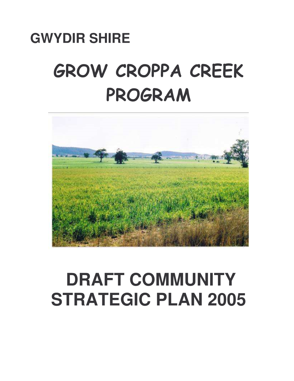 CROPPA CREEK Strategic Plan Draft 2005