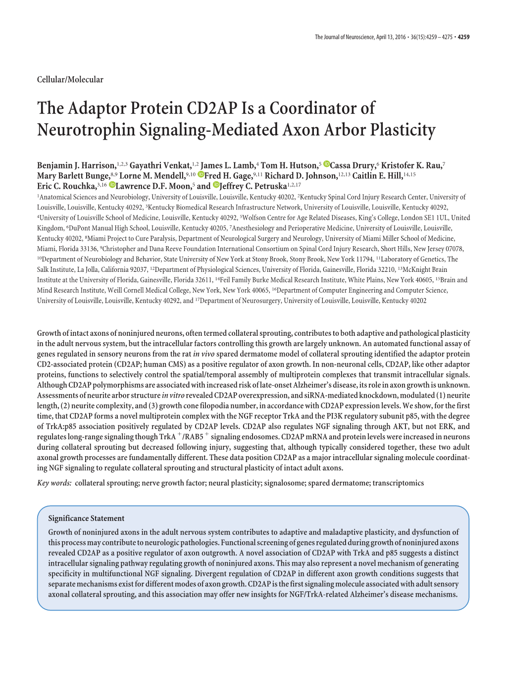 The Adaptor Protein CD2AP Is a Coordinator of Neurotrophin Signaling-Mediated Axon Arbor Plasticity