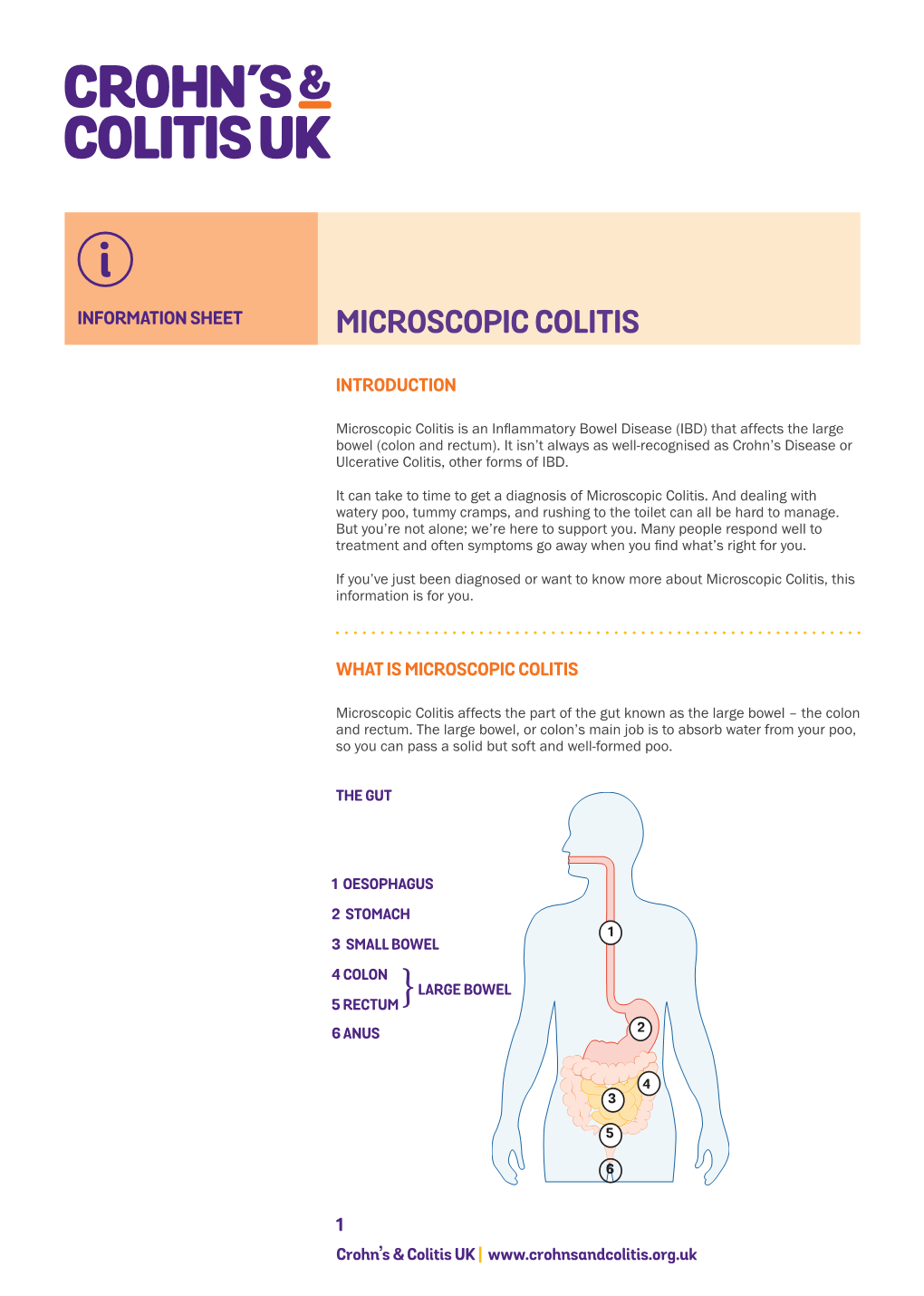 Microscopic Colitis (PDF)