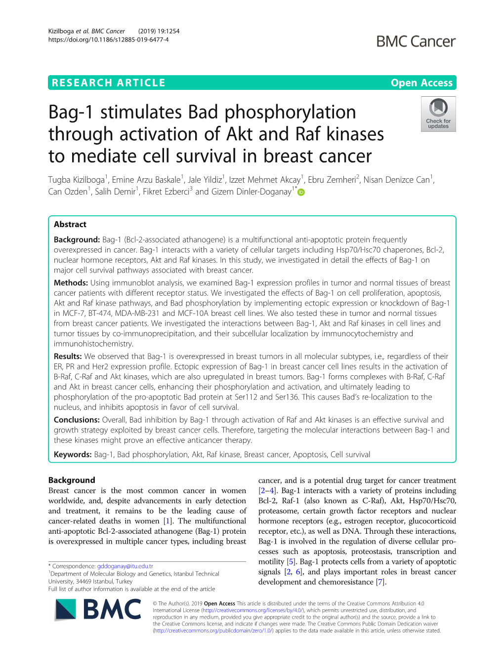 Bag-1 Stimulates Bad Phosphorylation Through Activation of Akt and Raf Kinases to Mediate Cell Survival in Breast Cancer