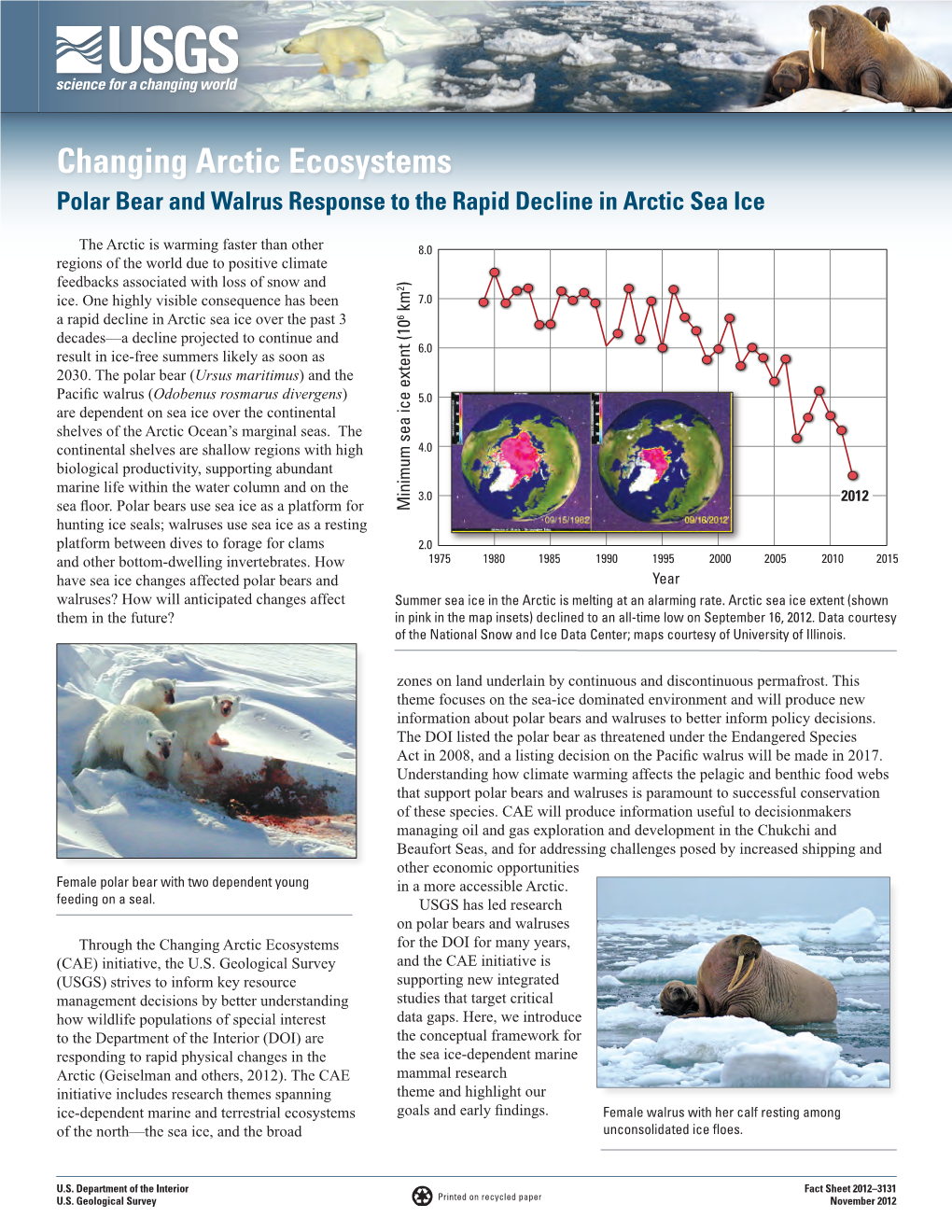 Changing Arctic Ecosystems Polar Bear and Walrus Response to the Rapid Decline in Arctic Sea Ice