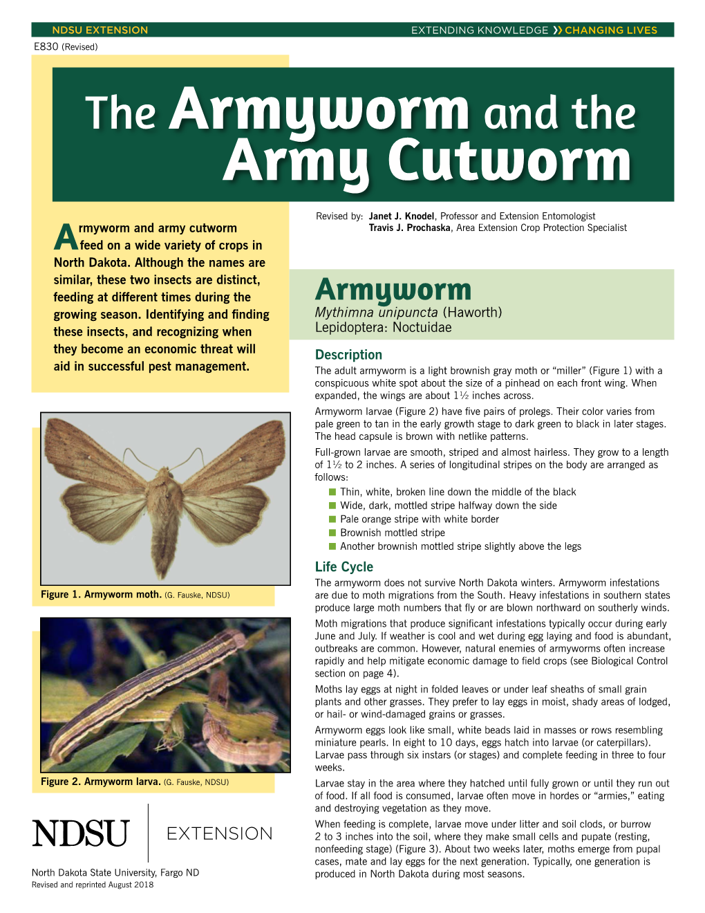 The Armyworm and the Army Cutworm
