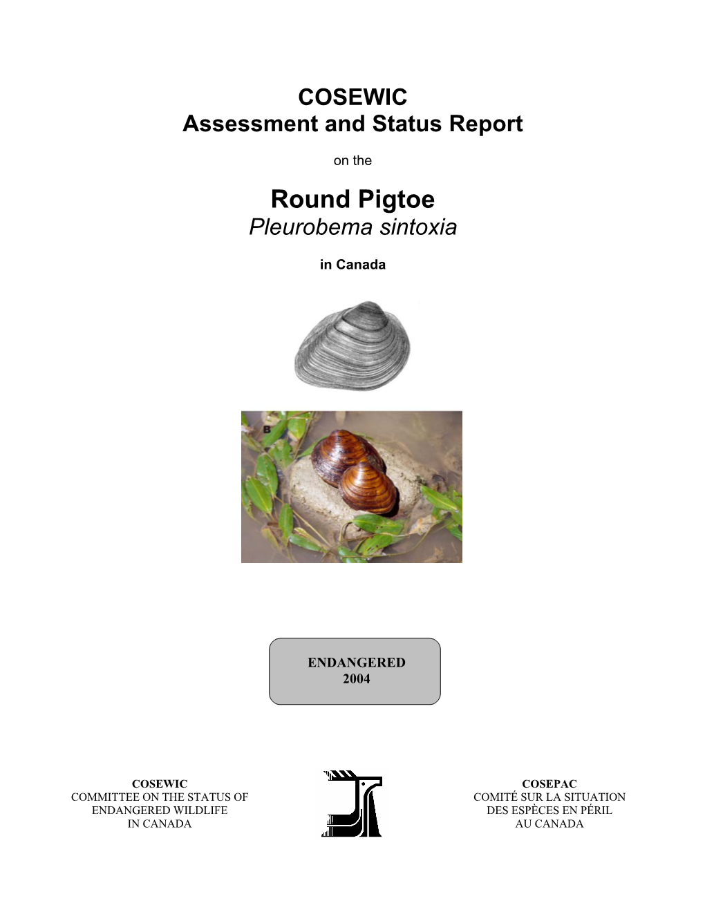 Round Pigtoe Pleurobema Sintoxia