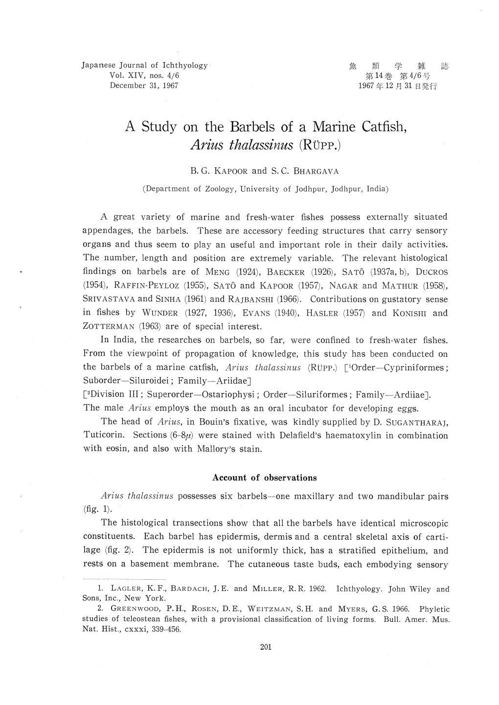 A Study on the Barbels of a Marine Catfish, Arius Thalassinus (RÜPP.)