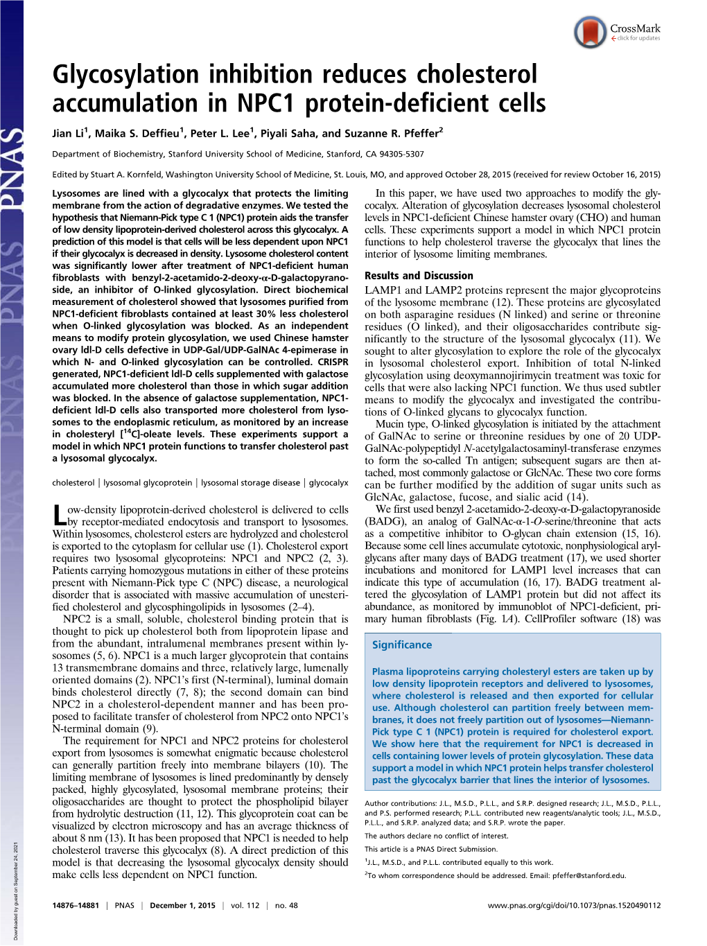 Glycosylation Inhibition Reduces Cholesterol Accumulation in NPC1 Protein-Deficient Cells