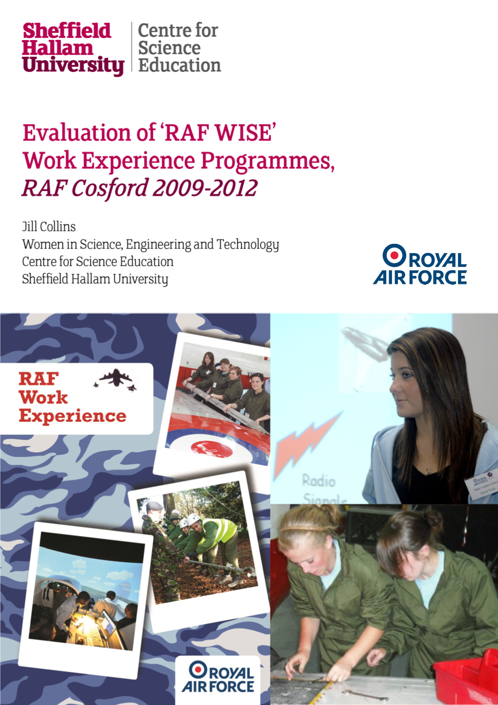Final RAF Report 2013.Pdf