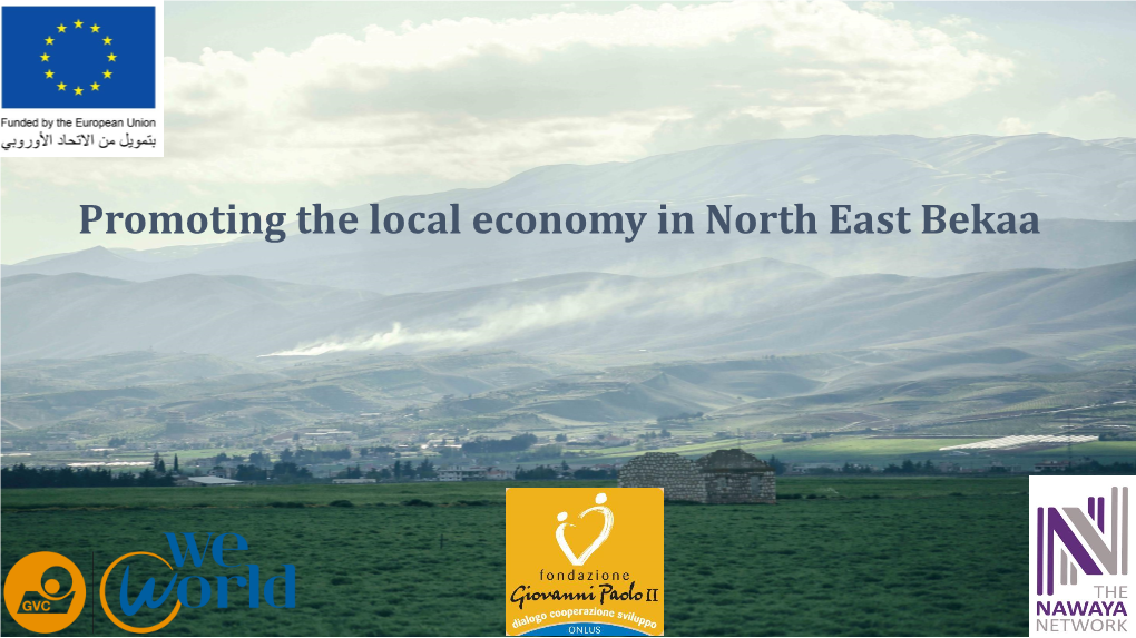 Promoting the Local Economy in North East Bekaa Our Partners