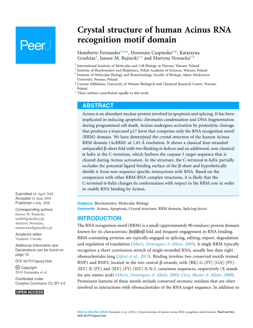 Crystal Structure of Human Acinus RNA Recognition Motif Domain