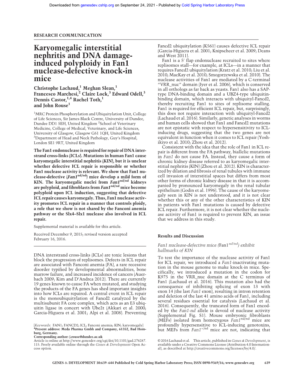 Karyomegalic Interstitial Nephritis and DNA Damage-Induced Polyploidy in Fan1 Nuclease-Defective Knock-In Mice