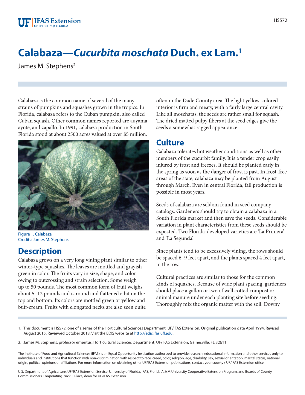 Calabaza—Cucurbita Moschata Duch