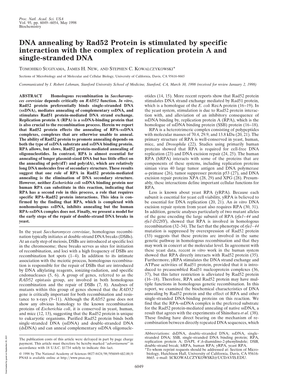 DNA Annealing by Rad52 Protein Is Stimulated by Specific Interaction with the Complex of Replication Protein a and Single-Stranded DNA