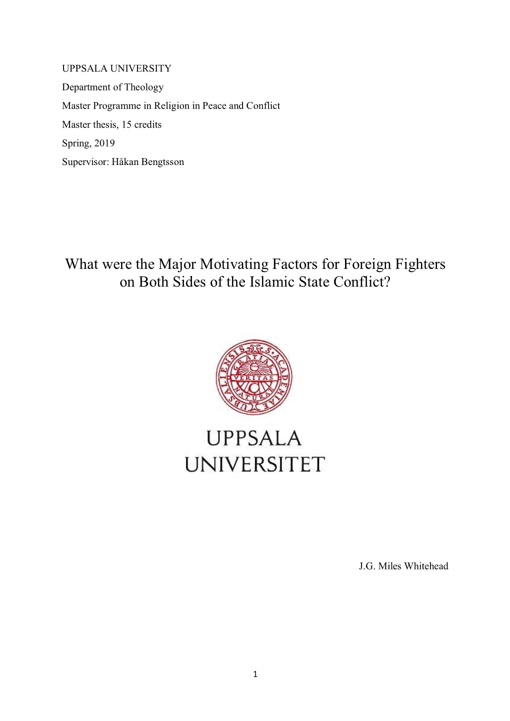 What Were the Major Motivating Factors for Foreign Fighters on Both Sides of the Islamic State Conflict?