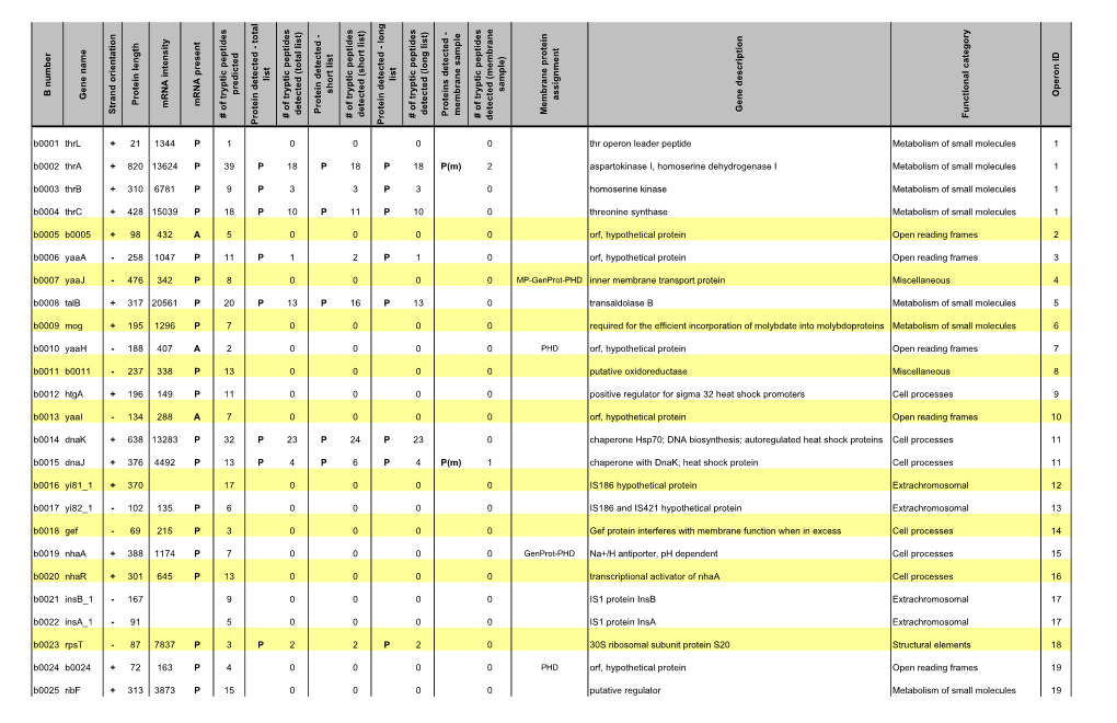 B Number Gene Name Strand Orientation Protein Length Mrna