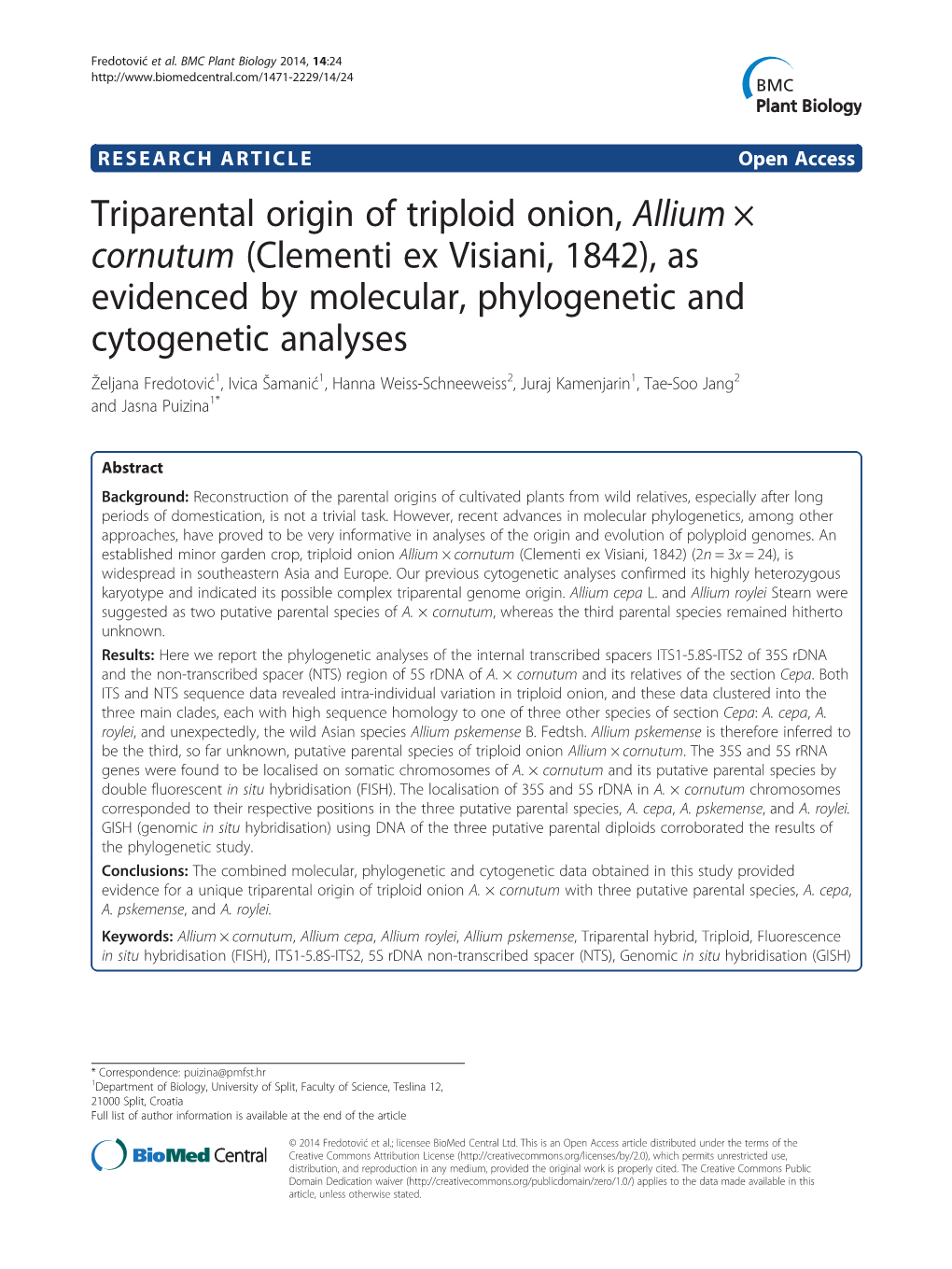 Triparental Origin of Triploid Onion, Allium